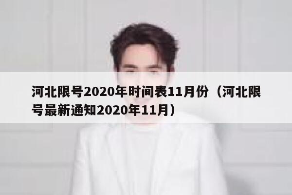 河北限号2020年时间表11月份（河北限号最新通知2020年11月） 第1张