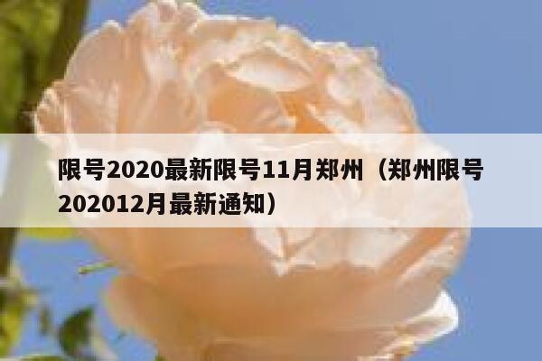 限号2020最新限号11月郑州（郑州限号202012月最新通知） 第1张