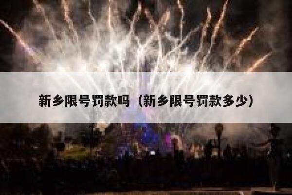 新乡限号罚款吗（新乡限号罚款多少） 第1张