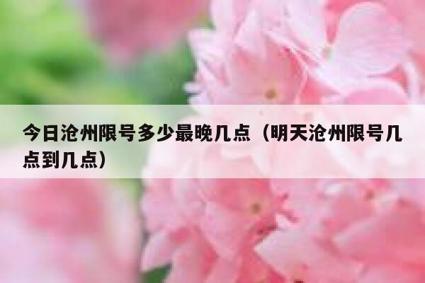 今日沧州限号多少最晚几点（明天沧州限号几点到几点） 第1张