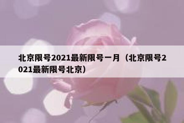 北京限号2021最新限号一月（北京限号2021最新限号北京） 第1张