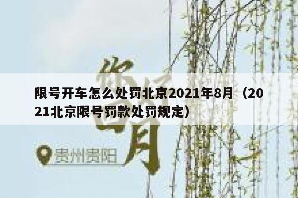 限号开车怎么处罚北京2021年8月（2021北京限号罚款处罚规定） 第1张