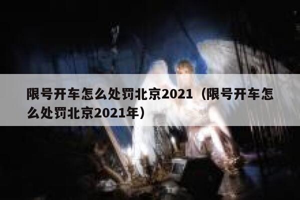 限号开车怎么处罚北京2021(限号开车怎么处罚北京2021年) 第1张 限号开车怎么处罚北京2021(限号开车怎么处罚北京2021年) 第1张