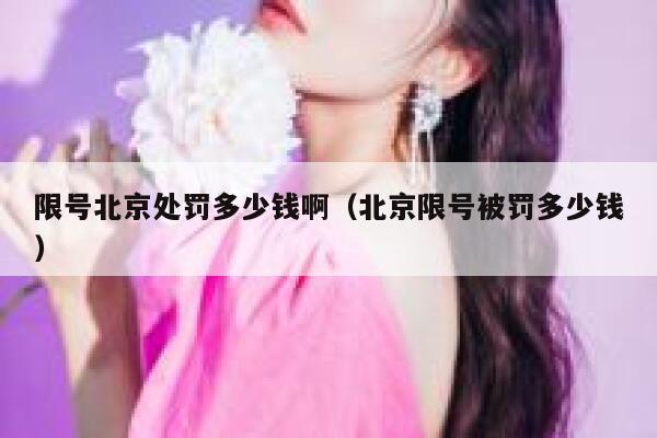 限号北京处罚多少钱啊(北京限号被罚多少钱) 第1张 限号北京处罚多少钱啊(北京限号被罚多少钱) 第1张