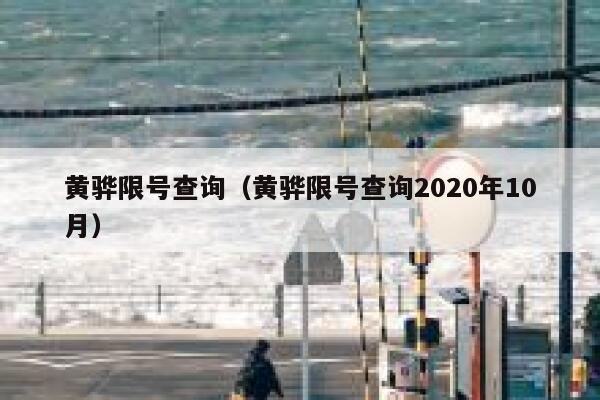 黄骅限号查询（黄骅限号查询2020年10月） 第1张