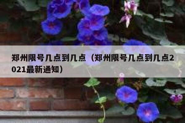 郑州限号几点到几点（郑州限号几点到几点2021最新通知） 第1张