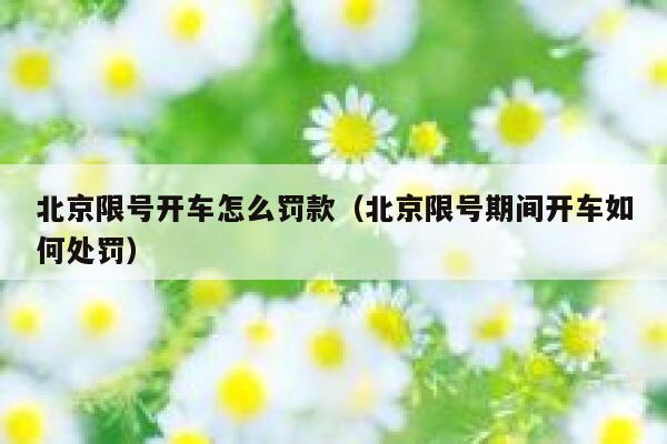 北京限号开车怎么罚款（北京限号期间开车如何处罚） 第1张