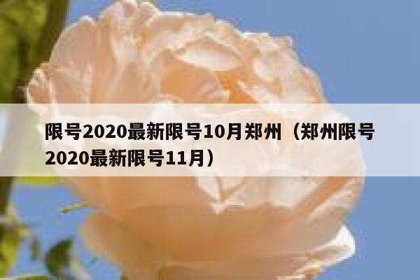 限号2020最新限号10月郑州（郑州限号2020最新限号11月） 第1张