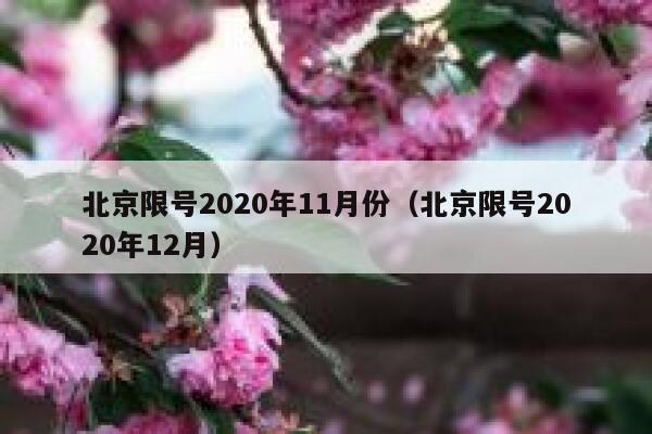北京限号2020年11月份（北京限号2020年12月） 第1张