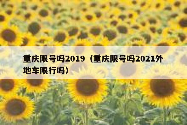 重庆限号吗2019（重庆限号吗2021外地车限行吗） 第1张