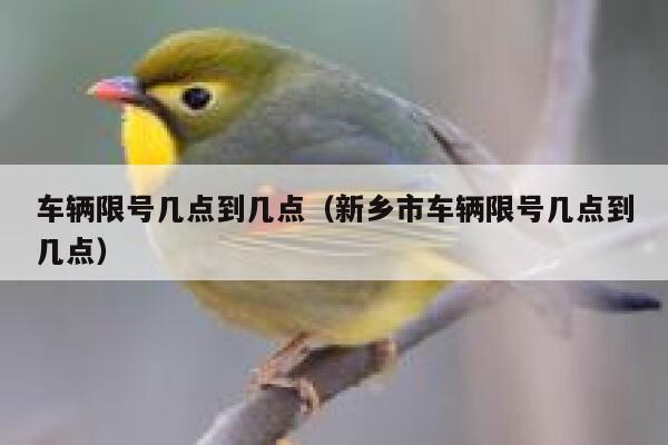 车辆限号几点到几点（新乡市车辆限号几点到几点） 第1张