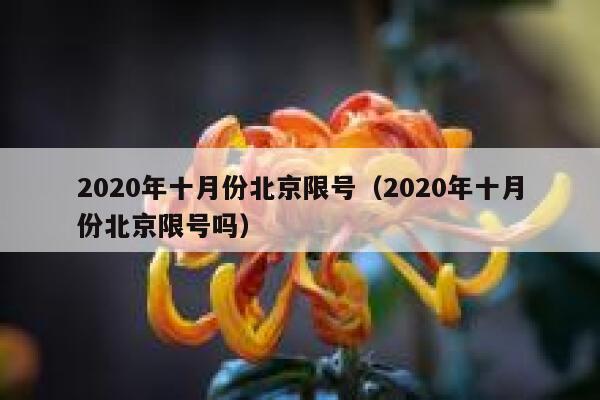 2020年十月份北京限号(2020年十月份北京限号吗) 第1张 2020年十月份北京限号(2020年十月份北京限号吗) 第1张
