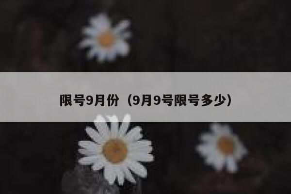 限号9月份（9月9号限号多少） 第1张