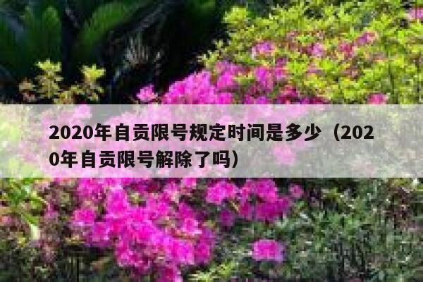 2020年自贡限号规定时间是多少（2020年自贡限号解除了吗） 第1张