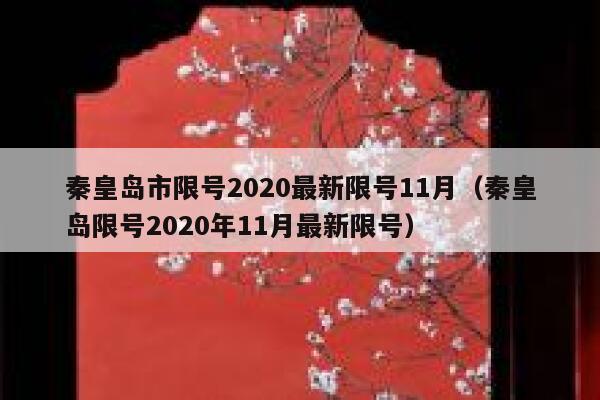 秦皇岛市限号2020最新限号11月（秦皇岛限号2020年11月最新限号） 第1张