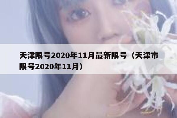 天津限号2020年11月最新限号（天津市限号2020年11月） 第1张