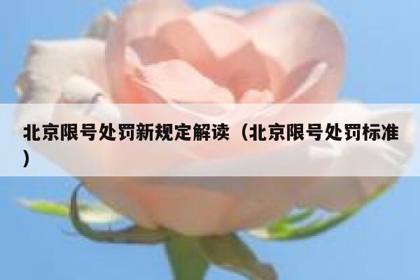 北京限号处罚新规定解读（北京限号处罚标准） 第1张