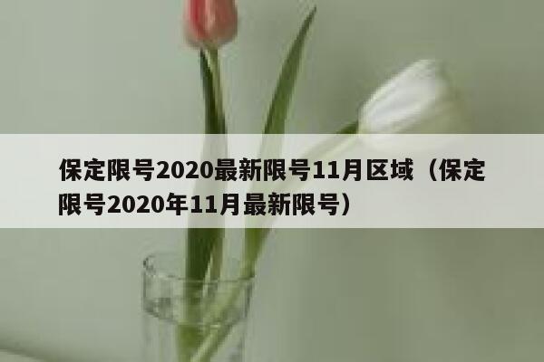 保定限号2020最新限号11月区域（保定限号2020年11月最新限号） 第1张