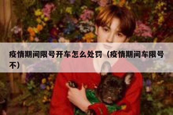 疫情期间限号开车怎么处罚（疫情期间车限号不） 第1张