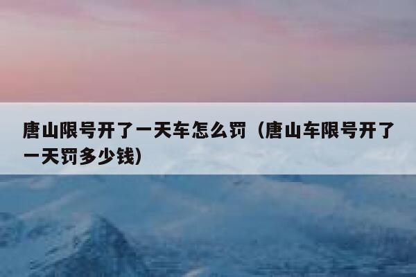 唐山限号开了一天车怎么罚（唐山车限号开了一天罚多少钱） 第1张