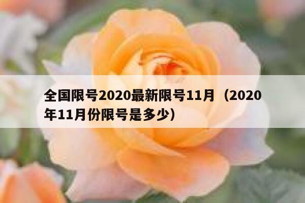 全国限号2020最新限号11月（2020年11月份限号是多少） 第1张