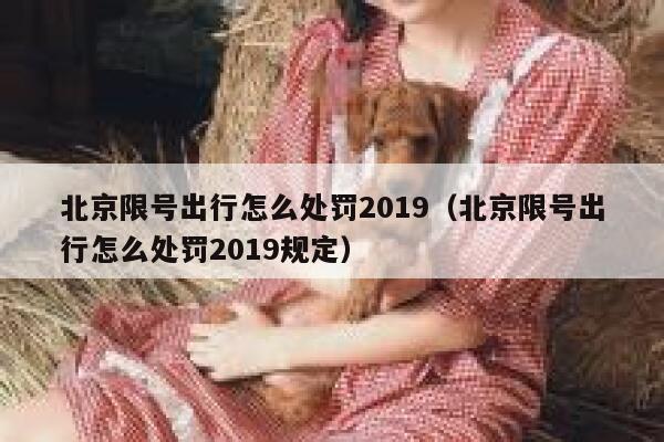 北京限号出行怎么处罚2019（北京限号出行怎么处罚2019规定） 第1张