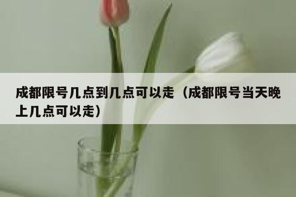 成都限号几点到几点可以走（成都限号当天晚上几点可以走） 第1张