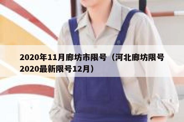 2020年11月廊坊市限号（河北廊坊限号2020最新限号12月） 第1张
