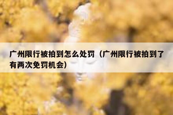 广州限行被拍到怎么处罚（广州限行被拍到了有两次免罚机会） 第1张