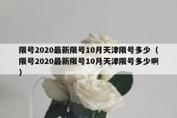 限号2020最新限号10月天津限号多少（限号2020最新限号10月天津限号多少啊） 第1张