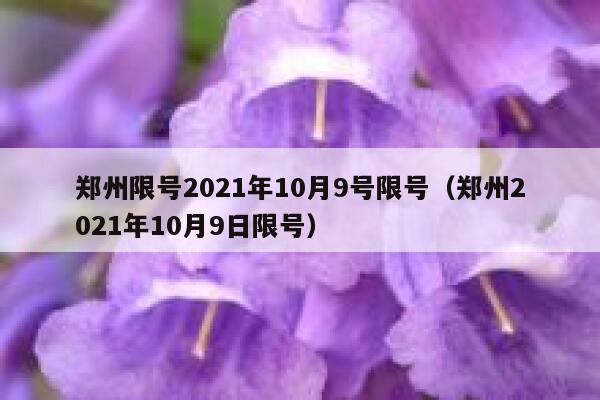 郑州限号2021年10月9号限号（郑州2021年10月9日限号） 第1张