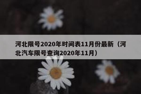 河北限号2020年时间表11月份最新（河北汽车限号查询2020年11月） 第1张
