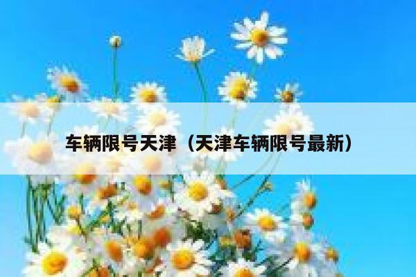 车辆限号天津（天津车辆限号最新） 第1张