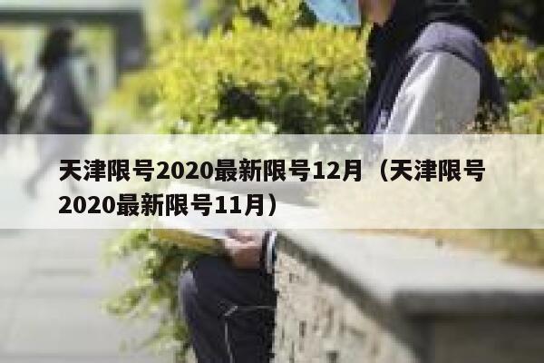 天津限号2020最新限号12月（天津限号2020最新限号11月） 第1张