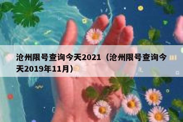 沧州限号查询今天2021（沧州限号查询今天2019年11月） 第1张