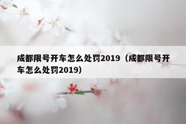 成都限号开车怎么处罚2019（成都限号开车怎么处罚2019） 第1张