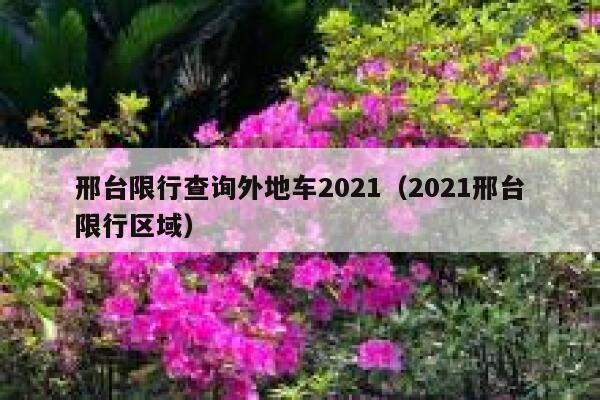 邢台限行查询外地车2021（2021邢台限行区域） 第1张