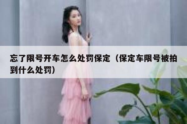 忘了限号开车怎么处罚保定(保定车限号被拍到什么处罚) 第1张 忘了限号开车怎么处罚保定(保定车限号被拍到什么处罚) 第1张