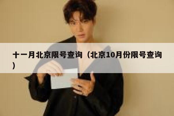 十一月北京限号查询（北京10月份限号查询） 第1张