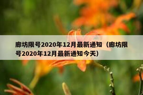 廊坊限号2020年12月最新通知（廊坊限号2020年12月最新通知今天） 第1张