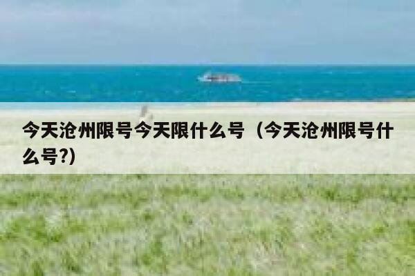 今天沧州限号今天限什么号（今天沧州限号什么号?） 第1张