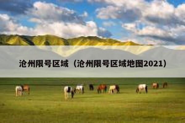 沧州限号区域（沧州限号区域地图2021） 第1张