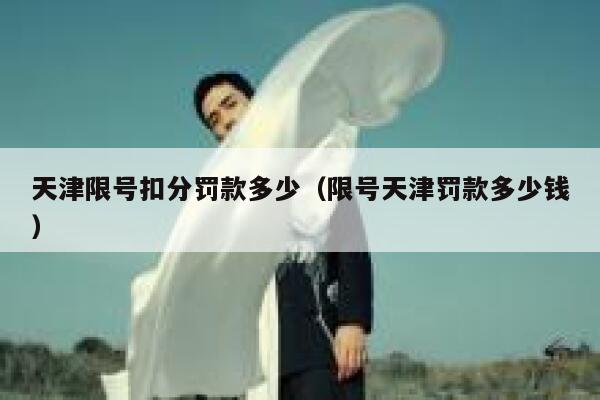 天津限号扣分罚款多少(限号天津罚款多少钱) 第1张 天津限号扣分罚款多少(限号天津罚款多少钱) 第1张