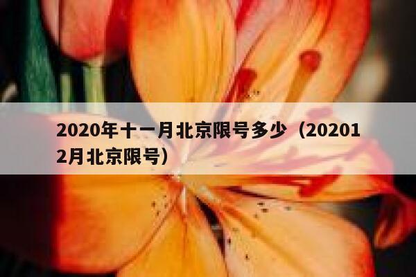 2020年十一月北京限号多少（202012月北京限号） 第1张
