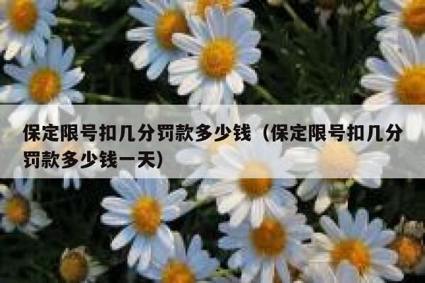 保定限号扣几分罚款多少钱（保定限号扣几分罚款多少钱一天） 第1张