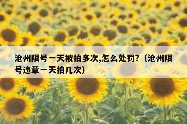 沧州限号一天被拍多次,怎么处罚?(沧州限号违章一天拍几次) 第1张 沧州限号一天被拍多次,怎么处罚?(沧州限号违章一天拍几次) 第1张