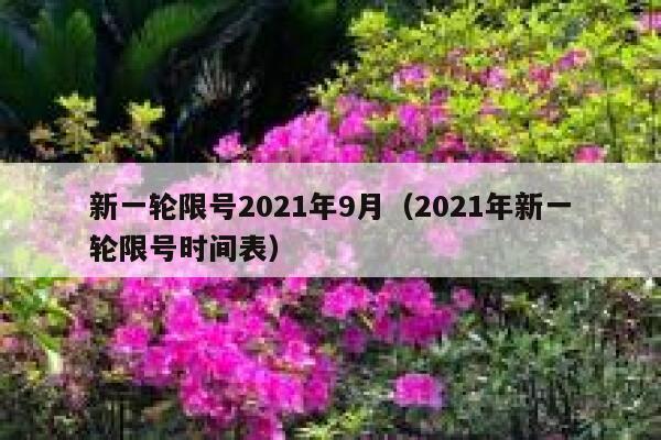 新一轮限号2021年9月（2021年新一轮限号时间表） 第1张
