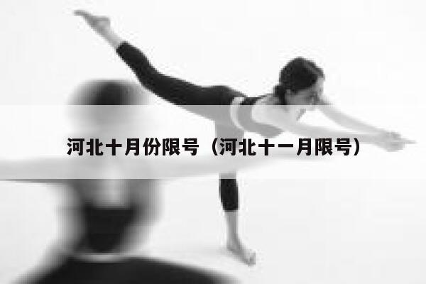 河北十月份限号（河北十一月限号） 第1张