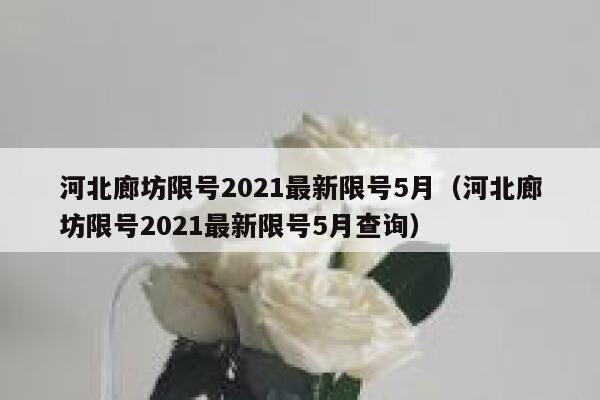 河北廊坊限号2021最新限号5月（河北廊坊限号2021最新限号5月查询） 第1张