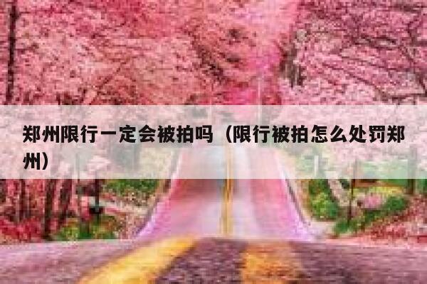 郑州限行一定会被拍吗（限行被拍怎么处罚郑州） 第1张